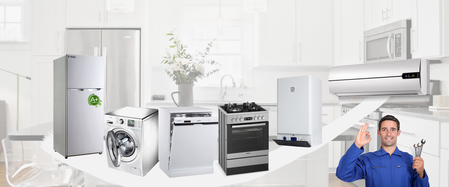 Foça Gorenje Servisi